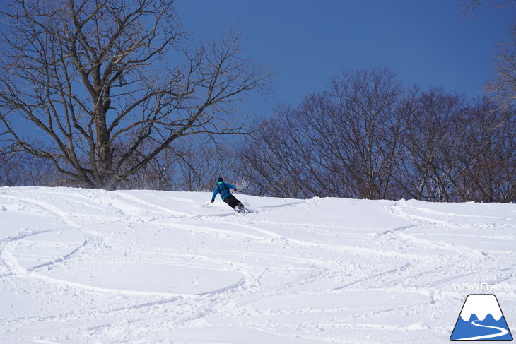 新得町・新得山スキー場 記録的な大雪でスキー場開設以来、最大積雪に到達?!